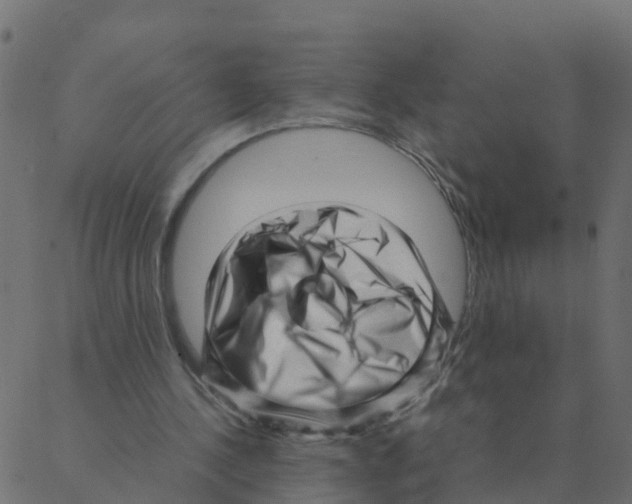 X0000087390244200705181314