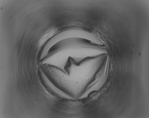 X0000087390245200705181314