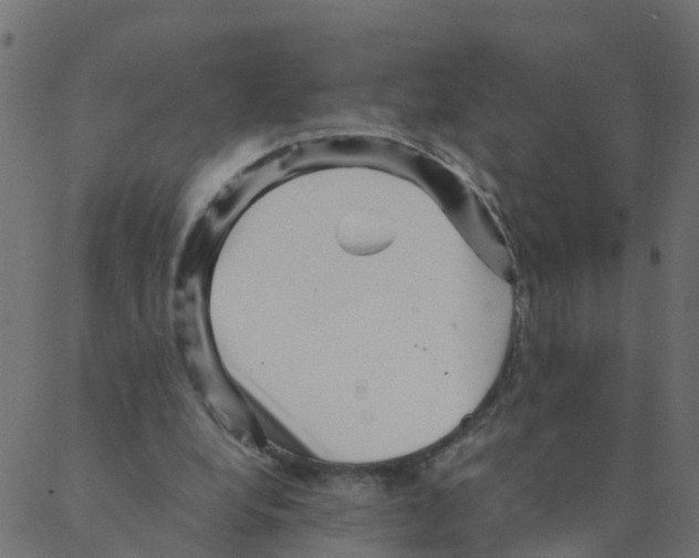 X0000087390248200705181314