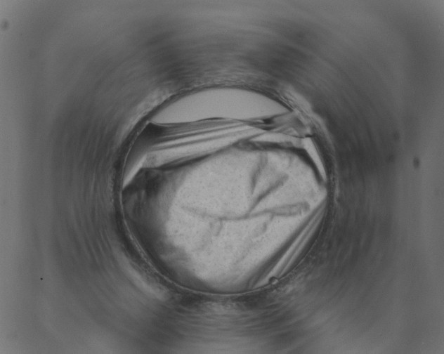 X0000087390250200705181314