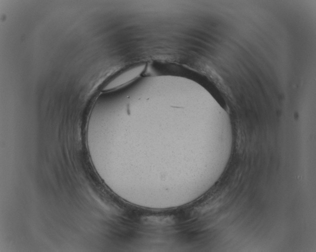 X0000087390251200705181314