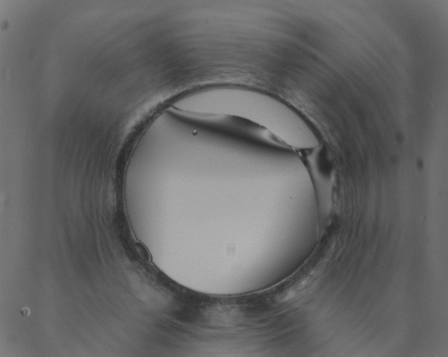 X0000087390252200705181314