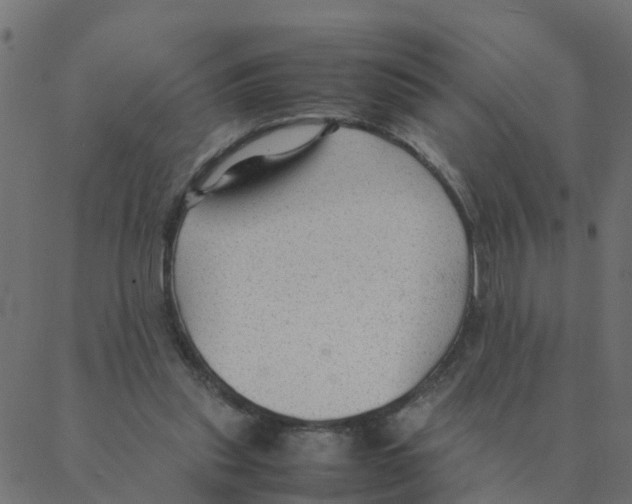 X0000087390253200705181314