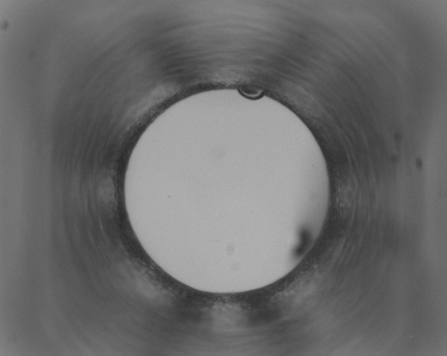 X0000087390256200705181314