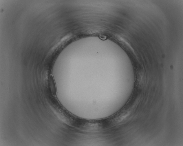 X0000087390260200705181314