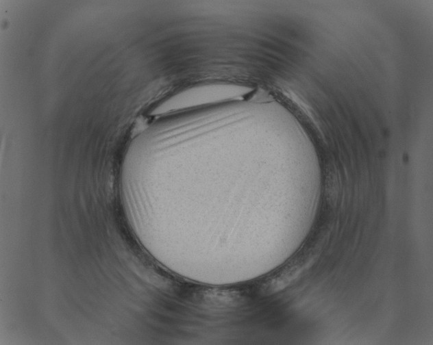 X0000087390261200705181314