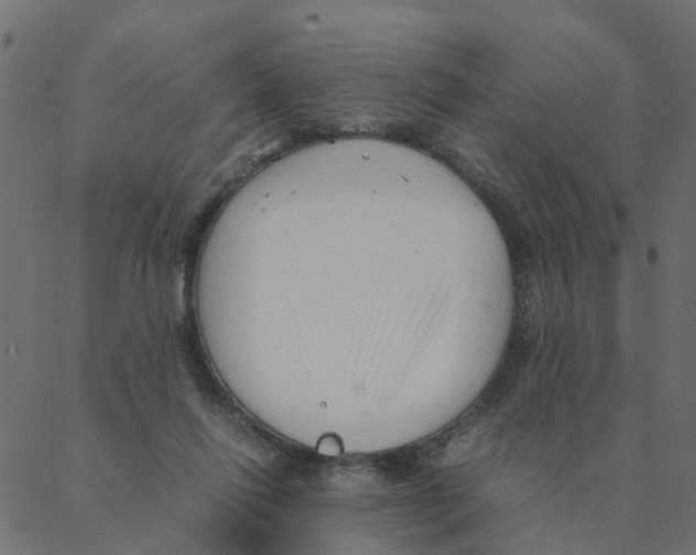 X0000087390262200705181314