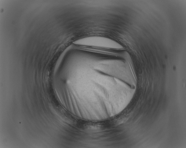 X0000087390263200705181314