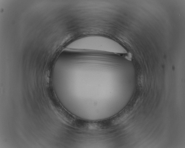 X0000087390264200705181314