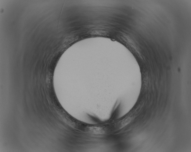 X0000087390265200705181315