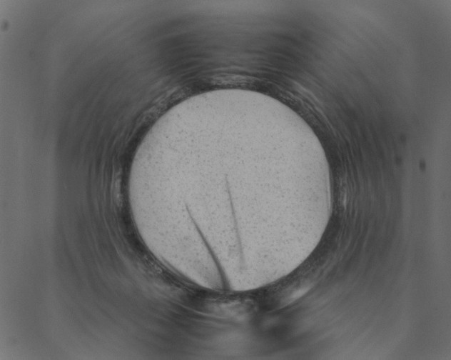 X0000087390267200705181315