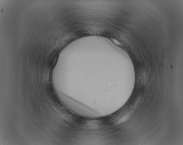 X0000087390268200705181315