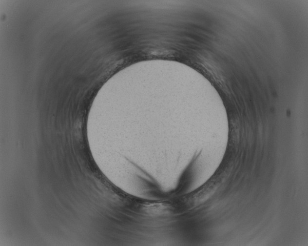 X0000087390269200705181315