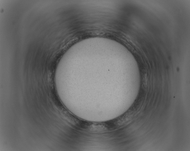 X0000087390270200705181315