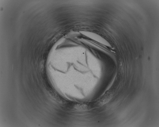 X0000087390271200705181315