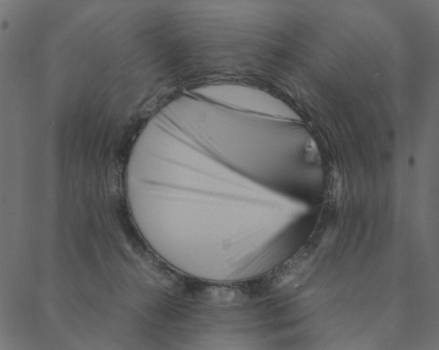 X0000087390272200705181315