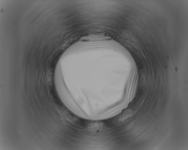 X0000087390274200705181315