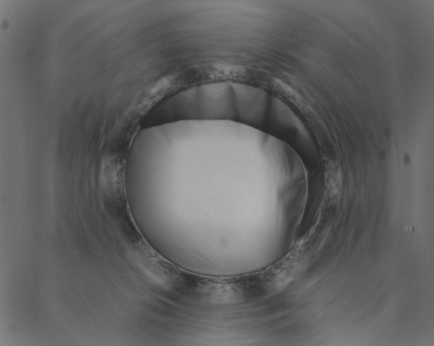 X0000087390276200705181315