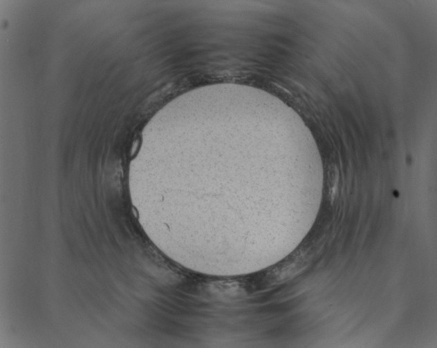 X0000087390279200705181315