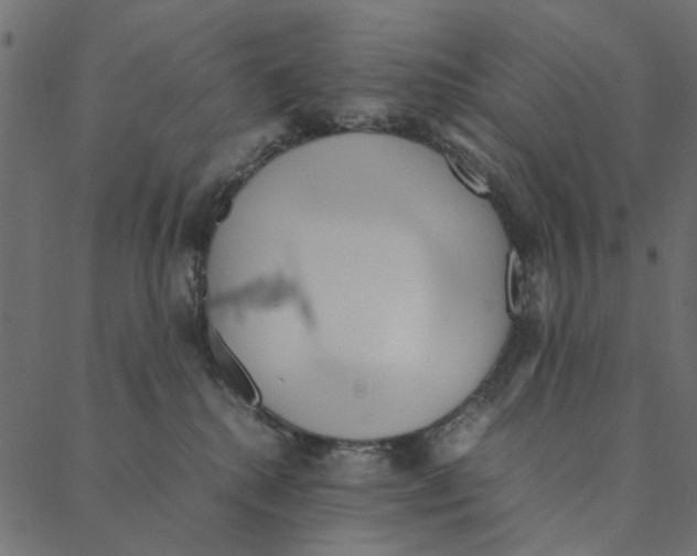 X0000087390280200705181315