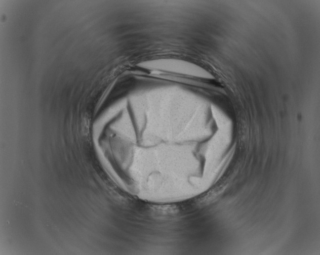 X0000087390281200705181315