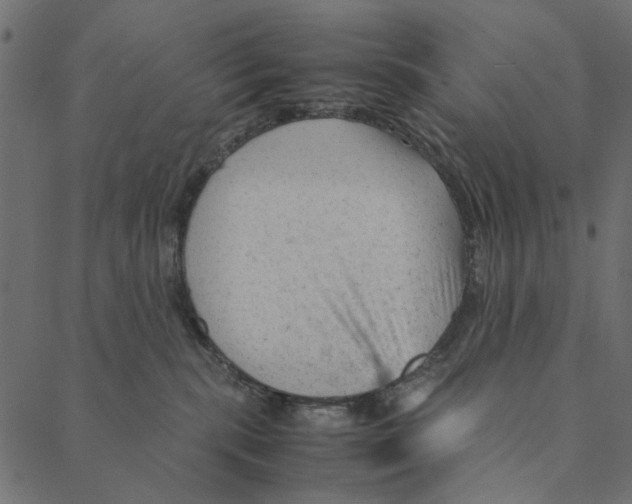 X0000087390283200705181315