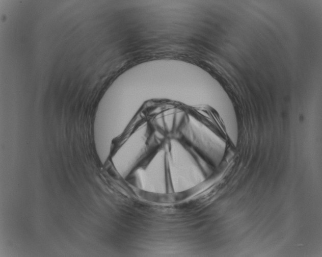 X0000087390284200705181315