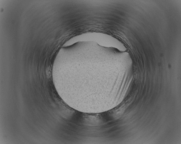 X0000087390285200705181315