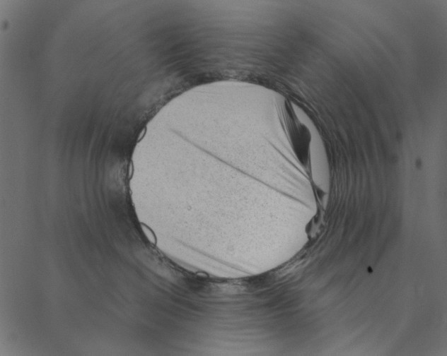 X0000087390286200705181315