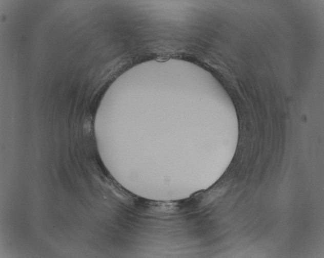 X0000087390288200705181315