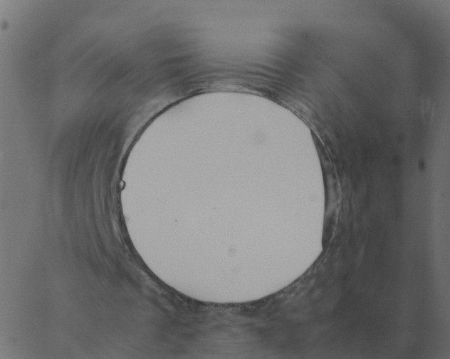 X0000087390289200705181314