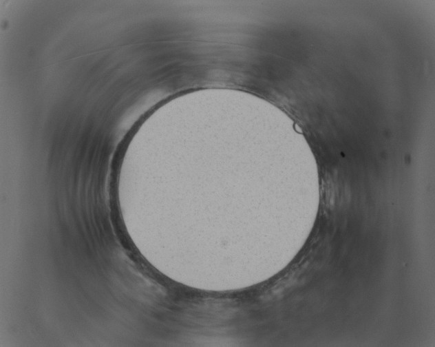 X0000087390292200705181314