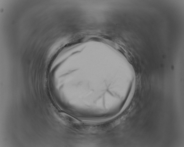 X0000087390293200705181314