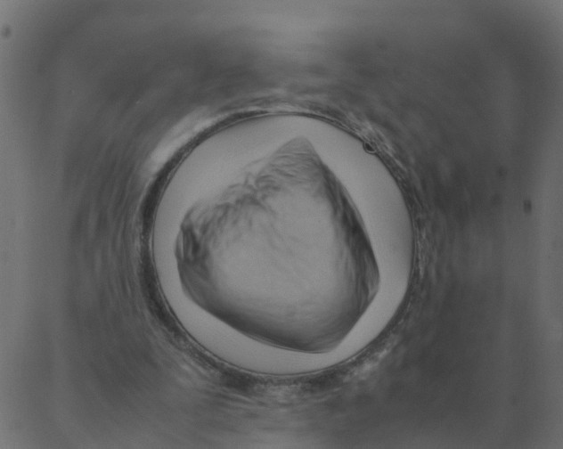 X0000087390295200705181314