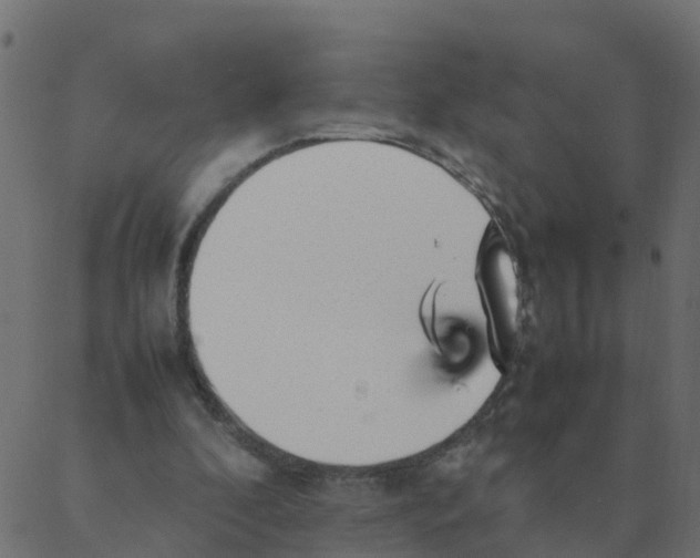 X0000087390296200705181314