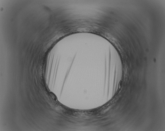 X0000087390297200705181314