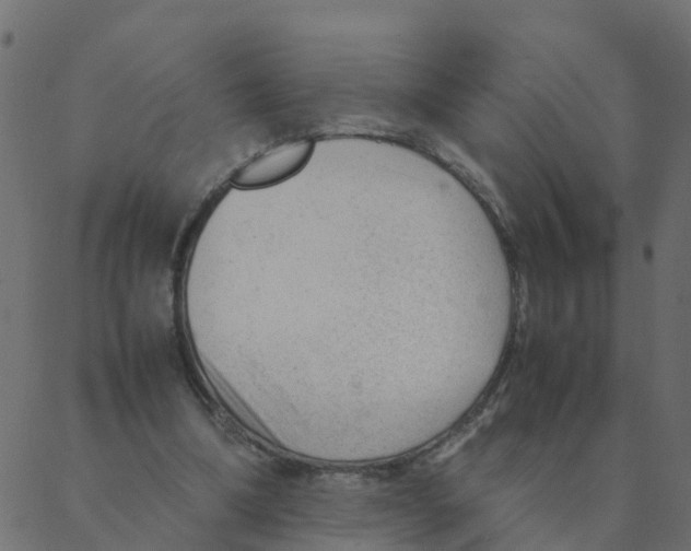 X0000087390298200705181314