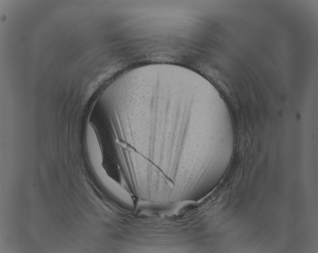 X0000087390299200705181314