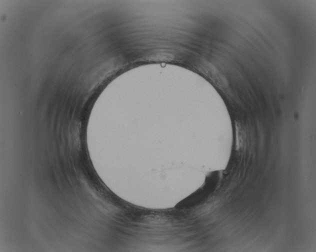 X0000087390300200705181314