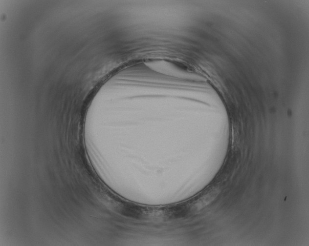 X0000087390301200705181314