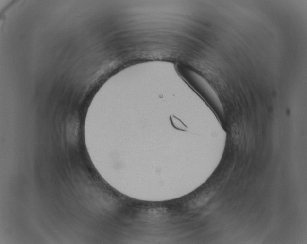 X0000087390304200705181314