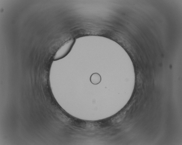 X0000087390305200705181314