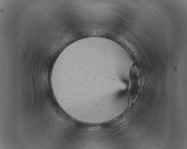 X0000087390306200705181314