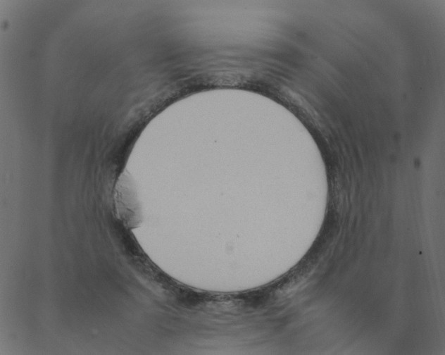 X0000087390307200705181314