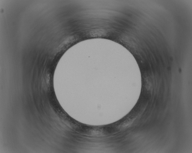 X0000087390308200705181314