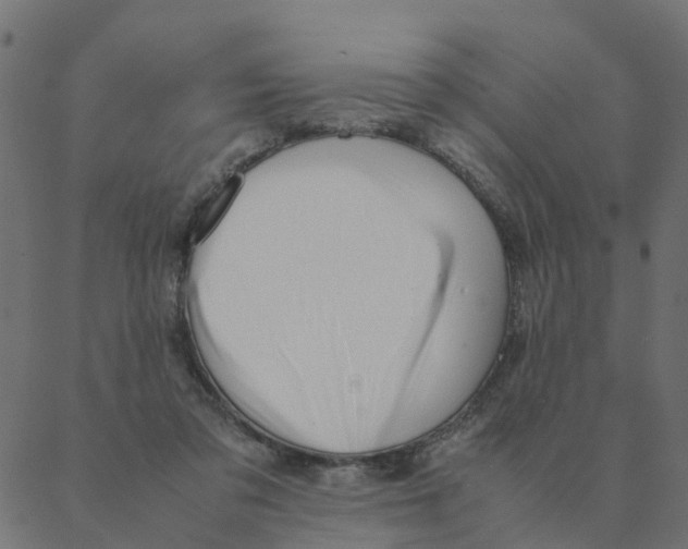 X0000087390309200705181314