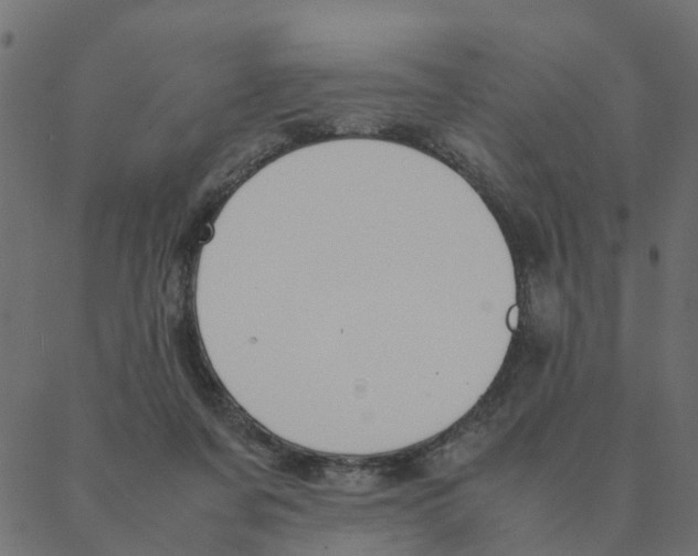 X0000087390311200705181314