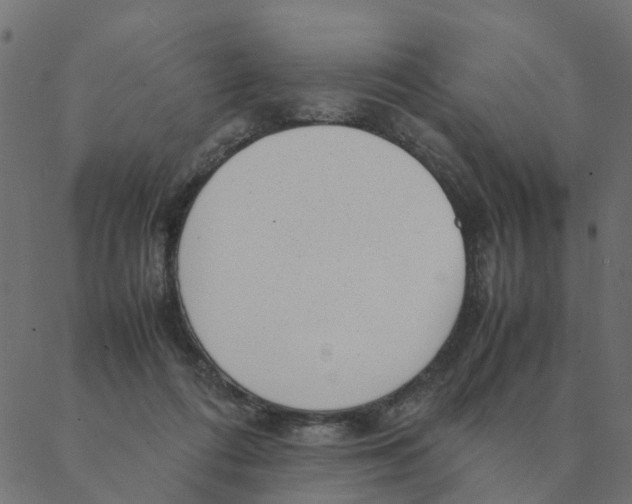 X0000087390312200705181314