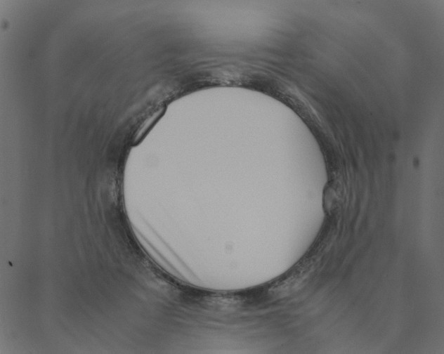 X0000087390313200705181314