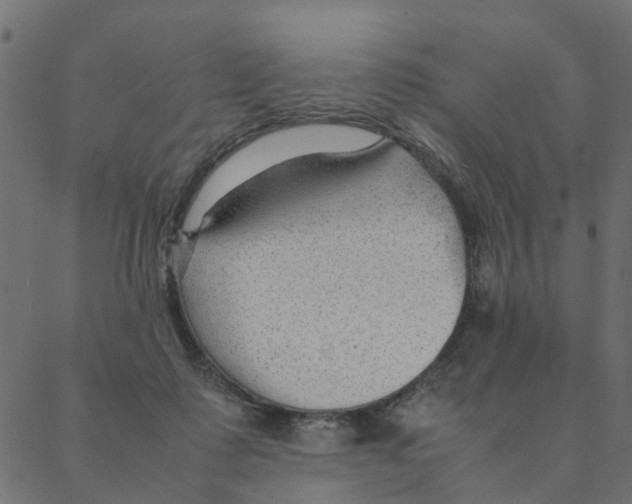 X0000087390315200705181314